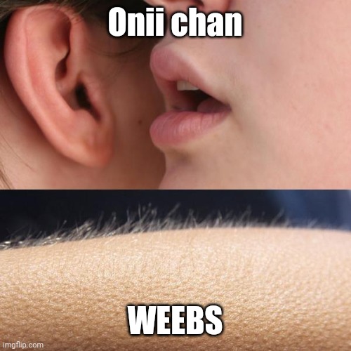 Onii chan means big brother | Onii chan; WEEBS | image tagged in whisper and goosebumps,anime,onii chan,weebs,japanese | made w/ Imgflip meme maker