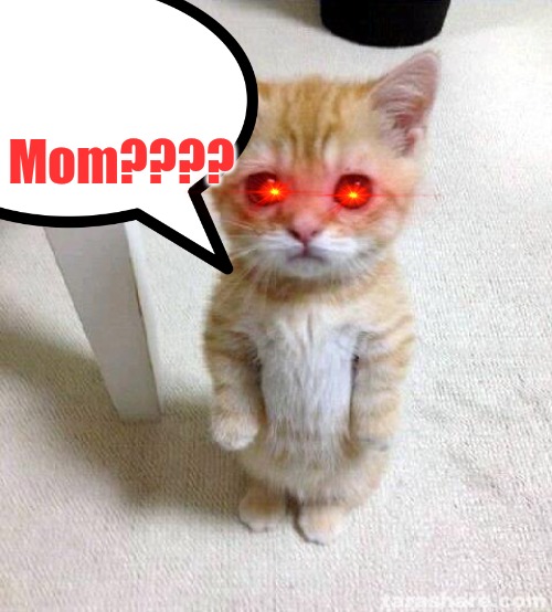 Mom???? | made w/ Imgflip meme maker