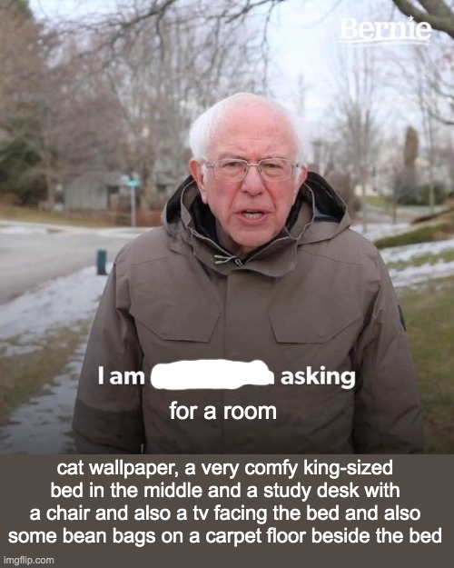 I will pay u $1000000 every second i stay there | for a room; cat wallpaper, a very comfy king-sized bed in the middle and a study desk with a chair and also a tv facing the bed and also some bean bags on a carpet floor beside the bed | image tagged in memes,bernie i am once again asking for your support | made w/ Imgflip meme maker