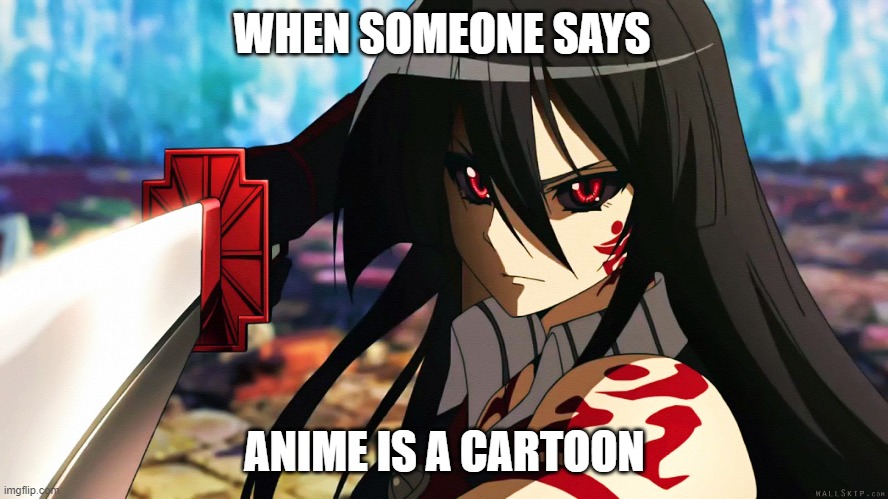 anime meme akame ga kill | WHEN SOMEONE SAYS; ANIME IS A CARTOON | image tagged in anime meme | made w/ Imgflip meme maker