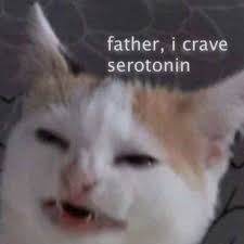 Crave Serotonin Blank Meme Template