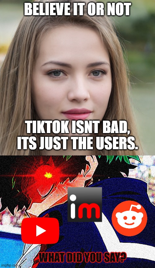 BELIEVE IT OR NOT; TIKTOK ISNT BAD, ITS JUST THE USERS. | image tagged in believe it or not,deku what you say extreme | made w/ Imgflip meme maker