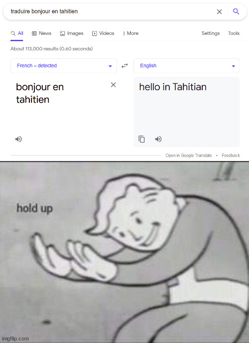 Google Translate going dunmb... | image tagged in fallout hold up,google,google translate | made w/ Imgflip meme maker