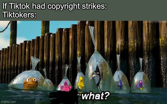 Tiktok amd copyright | If Tiktok had copyright strikes:
Tiktokers: | image tagged in now what,memes | made w/ Imgflip meme maker