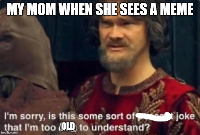 hehe | MY MOM WHEN SHE SEES A MEME; OLD | image tagged in is this a joke i'm too stupid to understand | made w/ Imgflip meme maker