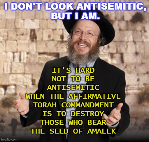 I don't look Antisemitic, but I am. It's hard not to be Antisemitic when the affirmative Torah commandment is to destroy... | IT'S HARD NOT TO BE ANTISEMITIC
WHEN THE AFFIRMATIVE TORAH COMMANDMENT
IS TO DESTROY THOSE WHO BEAR THE SEED OF AMALEK; I DON'T LOOK ANTISEMITIC,
BUT I AM. | image tagged in jewish guy | made w/ Imgflip meme maker