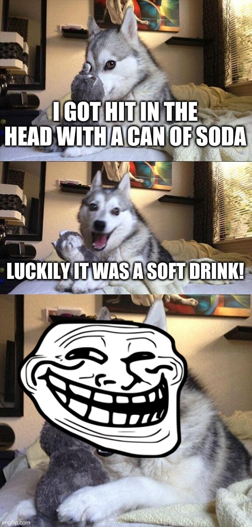 Soft drink!?? | I GOT HIT IN THE HEAD WITH A CAN OF SODA; LUCKILY IT WAS A SOFT DRINK! | image tagged in memes,bad pun dog | made w/ Imgflip meme maker