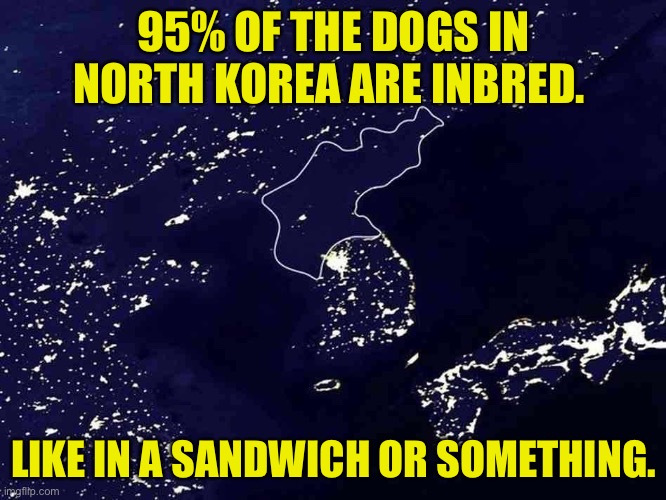 Inbred | 95% OF THE DOGS IN NORTH KOREA ARE INBRED. LIKE IN A SANDWICH OR SOMETHING. | image tagged in north korea the difference | made w/ Imgflip meme maker