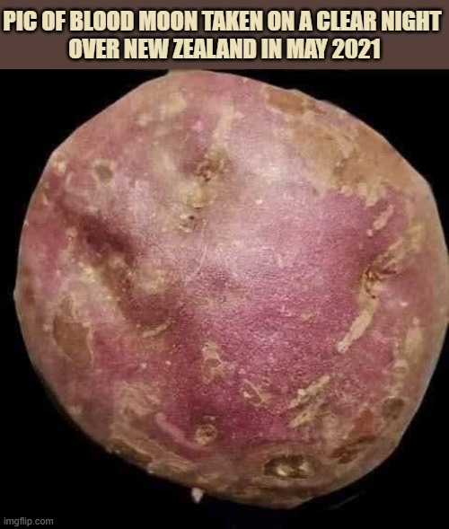 Blood Moon 2021 |  PIC OF BLOOD MOON TAKEN ON A CLEAR NIGHT 
OVER NEW ZEALAND IN MAY 2021 | image tagged in moon,full moon | made w/ Imgflip meme maker