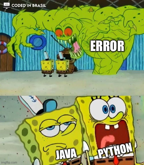 developer be like | ERROR; PYTHON; JAVA | image tagged in development,memes,funny,software,programming,technology | made w/ Imgflip meme maker