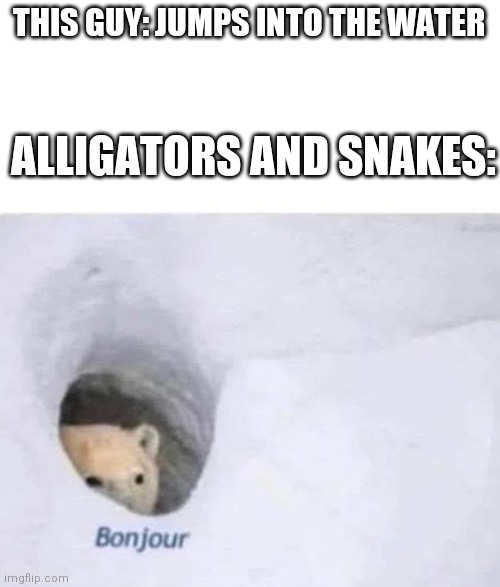 Bonjour | THIS GUY: JUMPS INTO THE WATER ALLIGATORS AND SNAKES: | image tagged in bonjour | made w/ Imgflip meme maker