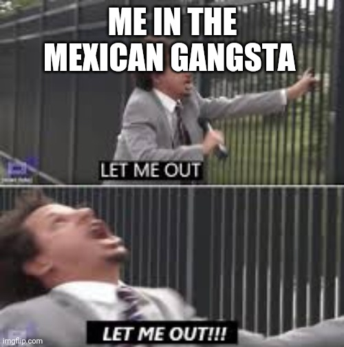 let me out | ME IN THE MEXICAN GANGSTA | image tagged in let me out | made w/ Imgflip meme maker