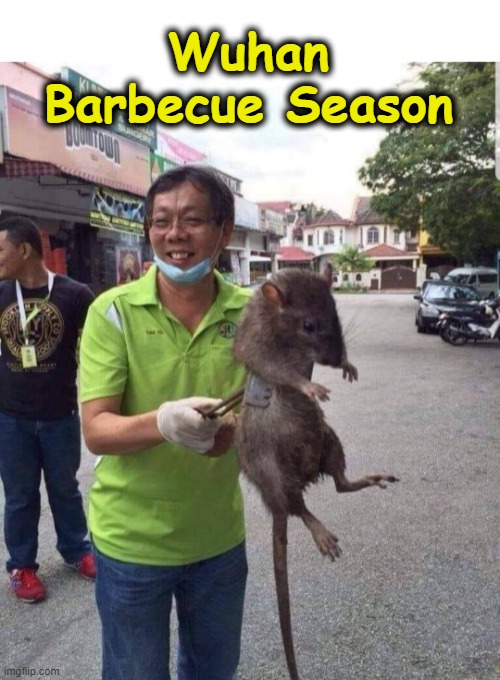 Wuhan Barbecue Season | Wuhan
Barbecue Season | image tagged in rats | made w/ Imgflip meme maker