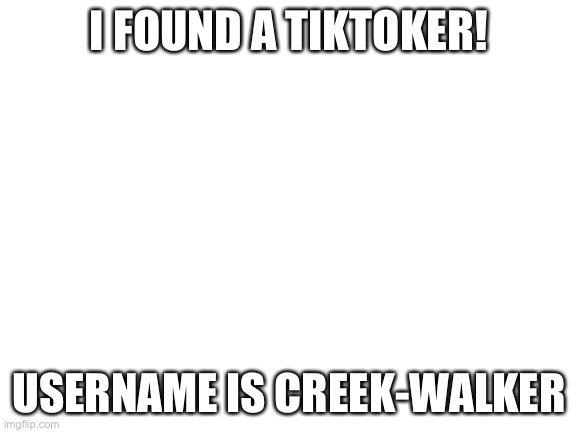 Blank White Template | I FOUND A TIKTOKER! USERNAME IS CREEK-WALKER | image tagged in blank white template | made w/ Imgflip meme maker