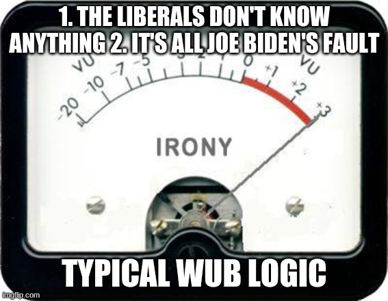 Irony Meter | 1. THE LIBERALS DON'T KNOW ANYTHING 2. IT'S ALL JOE BIDEN'S FAULT TYPICAL WUB LOGIC | image tagged in irony meter | made w/ Imgflip meme maker
