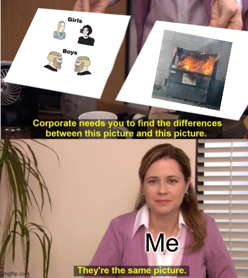 Girls vs boys memes are trash | Me | image tagged in memes,they're the same picture | made w/ Imgflip meme maker