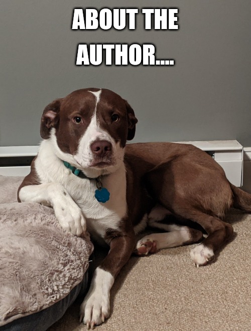 Name the book |  ABOUT THE; AUTHOR.... | image tagged in books,author,novel,doge,dogs | made w/ Imgflip meme maker