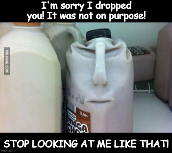 I'm sorry I dropped you! It was not on purpose! STOP LOOKING AT ME LIKE THAT! | made w/ Imgflip meme maker