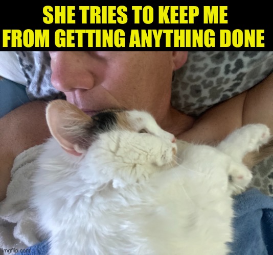 SHE TRIES TO KEEP ME FROM GETTING ANYTHING DONE | made w/ Imgflip meme maker