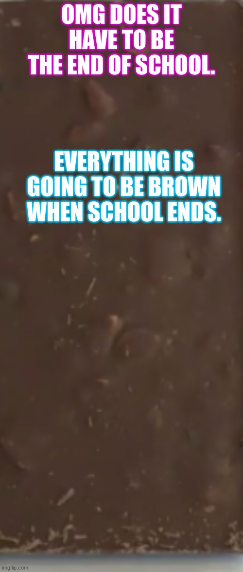 school | OMG DOES IT HAVE TO BE THE END OF SCHOOL. EVERYTHING IS GOING TO BE BROWN WHEN SCHOOL ENDS. | image tagged in school | made w/ Imgflip meme maker