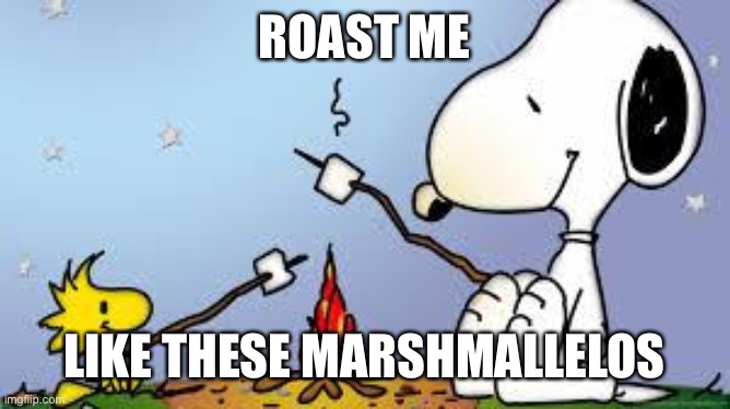 Roasting Marshmallows | ROAST ME; LIKE THESE MARSHMALLELOS | image tagged in roasting marshmallows | made w/ Imgflip meme maker