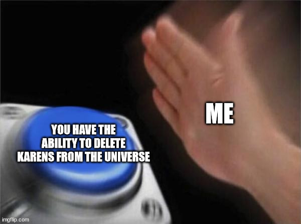 i would do it | ME; YOU HAVE THE ABILITY TO DELETE KARENS FROM THE UNIVERSE | image tagged in memes,blank nut button | made w/ Imgflip meme maker