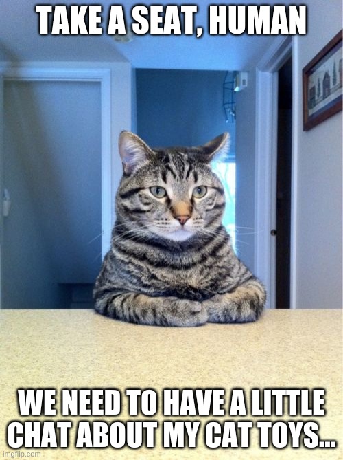 Plot twist: He broke the cat toys | TAKE A SEAT, HUMAN; WE NEED TO HAVE A LITTLE CHAT ABOUT MY CAT TOYS... | image tagged in memes,take a seat cat,meow,cat toys,cats,funny | made w/ Imgflip meme maker