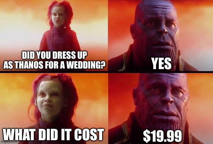 What did it cost? | DID YOU DRESS UP AS THANOS FOR A WEDDING? YES WHAT DID IT COST $19.99 | image tagged in what did it cost | made w/ Imgflip meme maker
