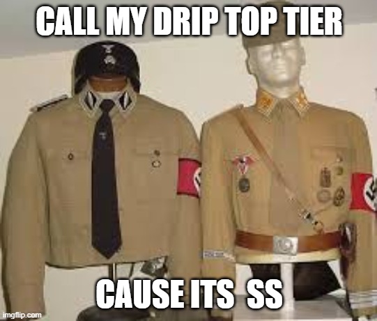 CALL MY DRIP TOP TIER; CAUSE ITS  SS | image tagged in drip,nazi | made w/ Imgflip meme maker
