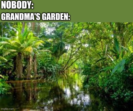 NOBODY:; GRANDMA'S GARDEN: | image tagged in grandma's garden | made w/ Imgflip meme maker