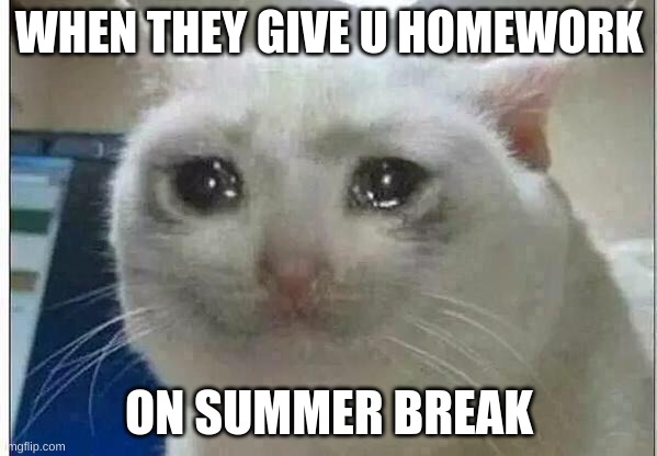 sad | WHEN THEY GIVE U HOMEWORK; ON SUMMER BREAK | image tagged in crying cat | made w/ Imgflip meme maker