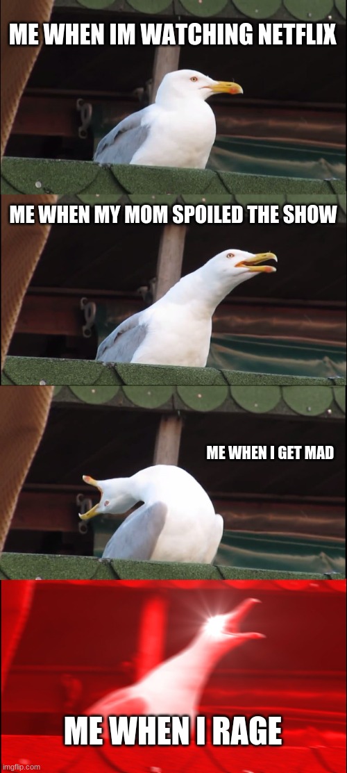 Inhaling Seagull Meme | ME WHEN IM WATCHING NETFLIX; ME WHEN MY MOM SPOILED THE SHOW; ME WHEN I GET MAD; ME WHEN I RAGE | image tagged in memes,inhaling seagull | made w/ Imgflip meme maker