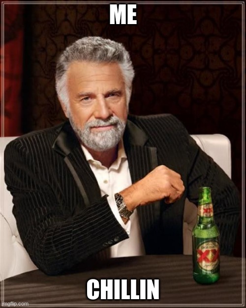 Just chillin. | ME; CHILLIN | image tagged in memes,the most interesting man in the world | made w/ Imgflip meme maker