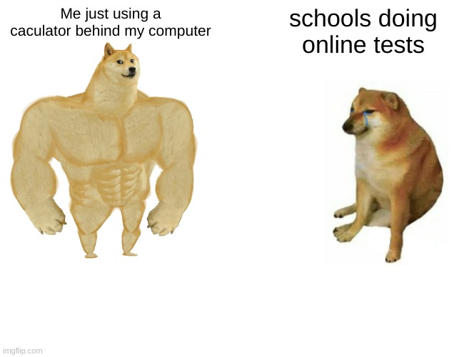 Online Genius | Me just using a caculator behind my computer; schools doing online tests | image tagged in memes,buff doge vs cheems | made w/ Imgflip meme maker