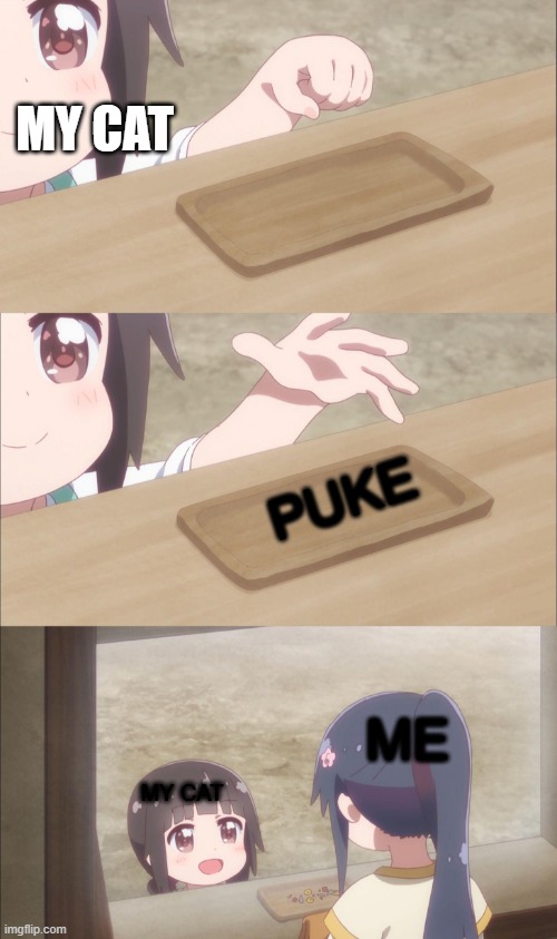 Puke | MY CAT; PUKE; ME; MY CAT | image tagged in yuu buys a cookie | made w/ Imgflip meme maker