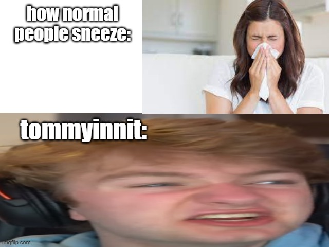 reeeee | how normal people sneeze:; tommyinnit: | image tagged in tommyinnit | made w/ Imgflip meme maker