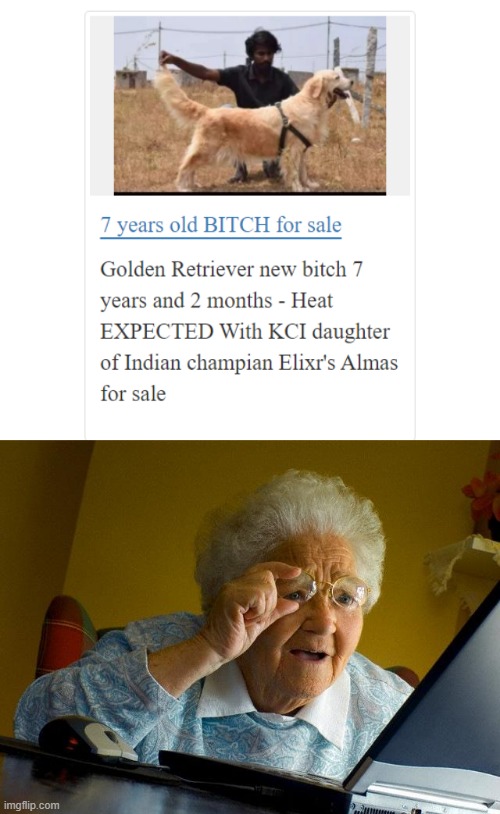 HOLD THE FUCK UP | image tagged in memes,grandma finds the internet | made w/ Imgflip meme maker