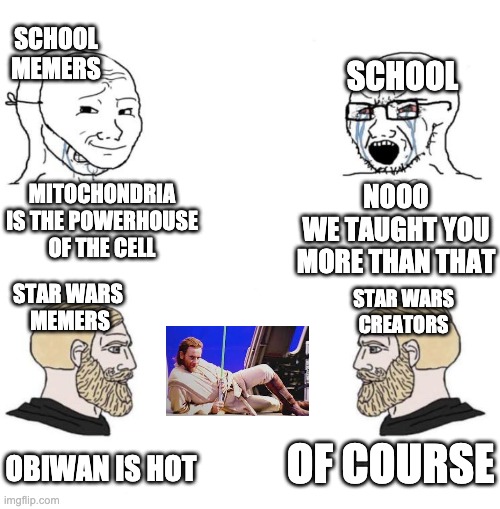 Chad we know | SCHOOL MEMERS; SCHOOL; MITOCHONDRIA IS THE POWERHOUSE OF THE CELL; NOOO
WE TAUGHT YOU MORE THAN THAT; STAR WARS 
MEMERS; STAR WARS CREATORS; OF COURSE; OBIWAN IS HOT | image tagged in chad we know,school,star wars,obi wan kenobi | made w/ Imgflip meme maker