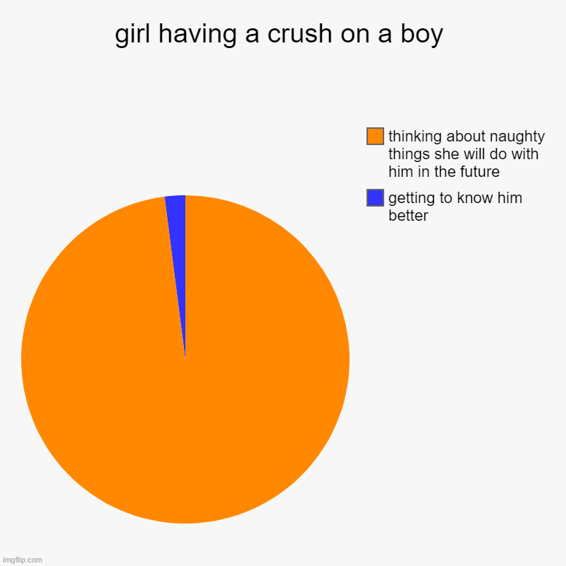 um yah its a stuggle | girl having a crush on a boy | getting to know him better, thinking about naughty things she will do with him in the future | image tagged in charts,pie charts | made w/ Imgflip chart maker