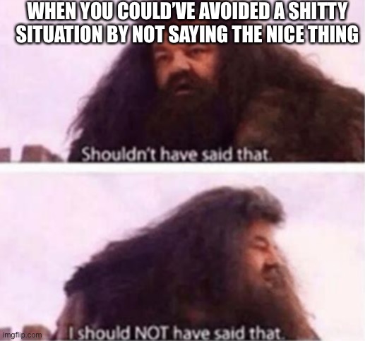 Shouldn't have said that | WHEN YOU COULD’VE AVOIDED A SHITTY SITUATION BY NOT SAYING THE NICE THING | image tagged in shouldn't have said that | made w/ Imgflip meme maker
