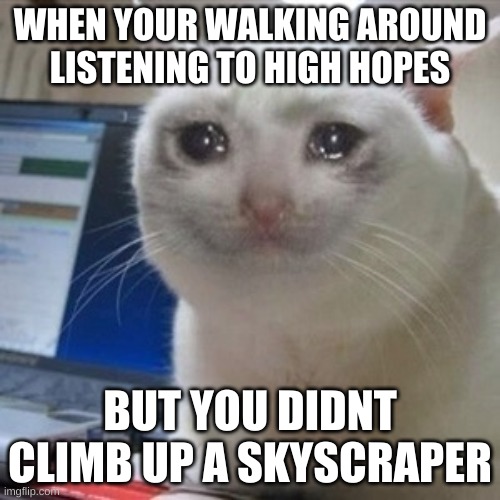 Crying cat | WHEN YOUR WALKING AROUND LISTENING TO HIGH HOPES; BUT YOU DIDNT CLIMB UP A SKYSCRAPER | image tagged in crying cat | made w/ Imgflip meme maker