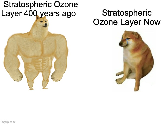 Buff Doge vs. Cheems | Stratospheric Ozone Layer 400 years ago; Stratospheric Ozone Layer Now | image tagged in memes,buff doge vs cheems | made w/ Imgflip meme maker