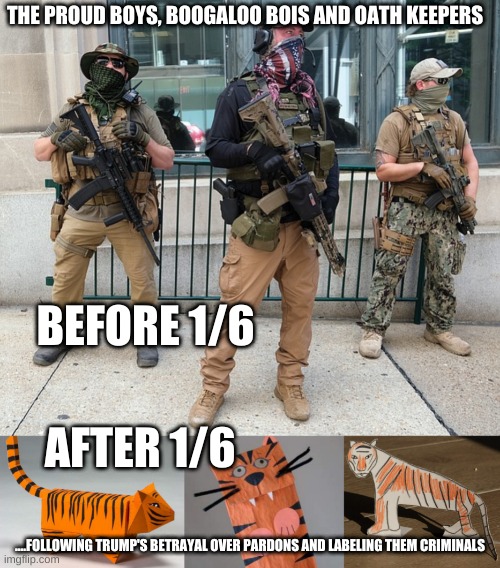 The Militias have proved to be Paper Tigers | THE PROUD BOYS, BOOGALOO BOIS AND OATH KEEPERS; BEFORE 1/6; AFTER 1/6; ....FOLLOWING TRUMP'S BETRAYAL OVER PARDONS AND LABELING THEM CRIMINALS | image tagged in american militia,paper tiger,trump,insurrection,treason,betrayal | made w/ Imgflip meme maker