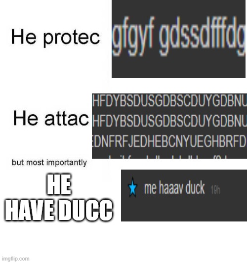 He protec he attac but most importantly | HE HAVE DUCC | image tagged in he protec he attac but most importantly | made w/ Imgflip meme maker