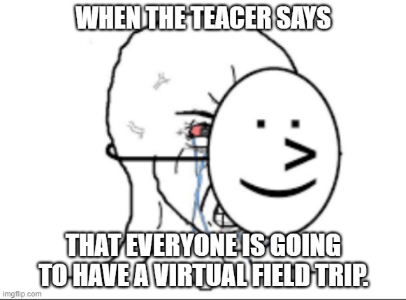 Online disadvantages | WHEN THE TEACER SAYS; THAT EVERYONE IS GOING TO HAVE A VIRTUAL FIELD TRIP. | image tagged in funny memes,fun,relatable,joy | made w/ Imgflip meme maker