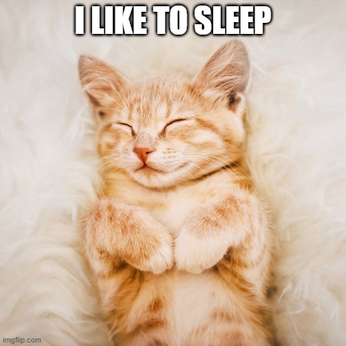 sleepy boi | I LIKE TO SLEEP | made w/ Imgflip meme maker