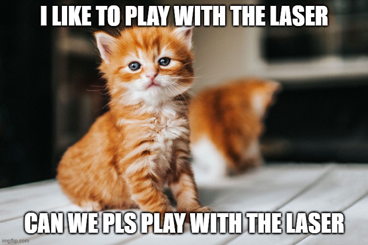 laser | I LIKE TO PLAY WITH THE LASER; CAN WE PLS PLAY WITH THE LASER | made w/ Imgflip meme maker