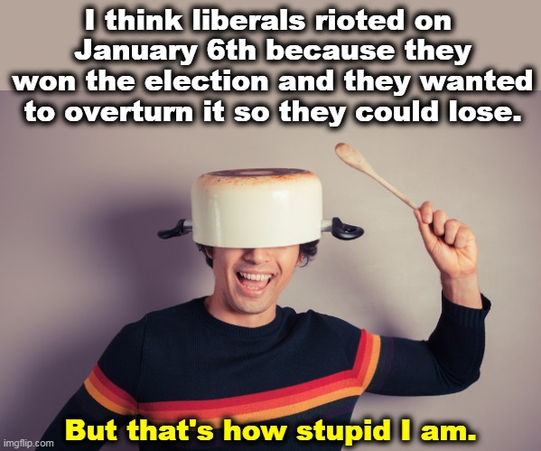 Yeah, that makes as much sense as anything a Republican says. | I think liberals rioted on 
January 6th because they won the election and they wanted to overturn it so they could lose. But that's how stupid I am. | image tagged in republicans,conspiracy theories,unbelievable | made w/ Imgflip meme maker