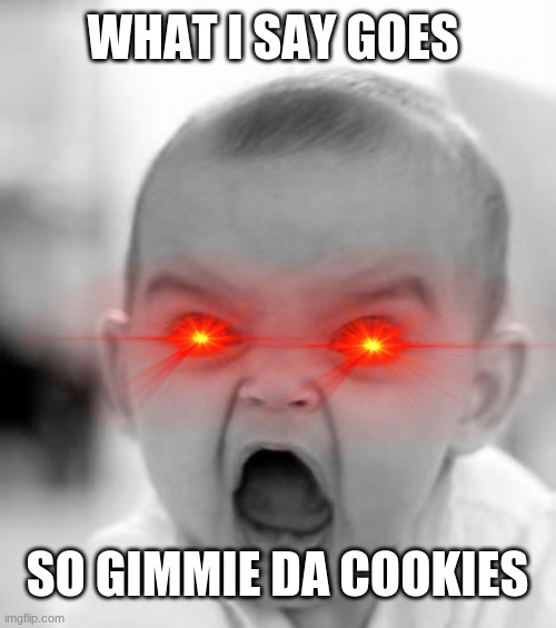 Angry Baby Meme | WHAT I SAY GOES SO GIMMIE DA COOKIES | image tagged in memes,angry baby | made w/ Imgflip meme maker