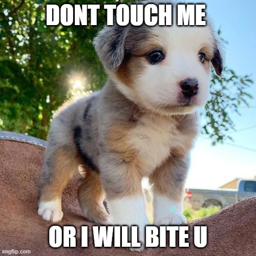 DONT TOUCH ME; OR I WILL BITE U | made w/ Imgflip meme maker